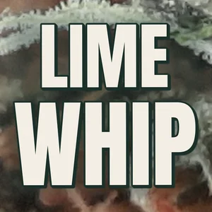 Lime Whip Cannabis Strain