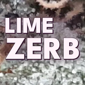 Lime Zerb Cannabis Strain