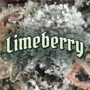 Limeberry Cannabis Strain