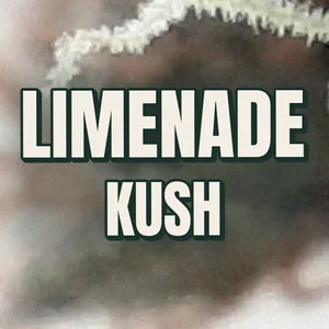 Limenade Kush Cannabis Strain