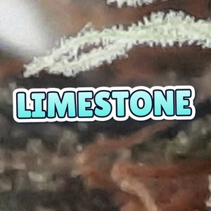 Limestone Cannabis Strain