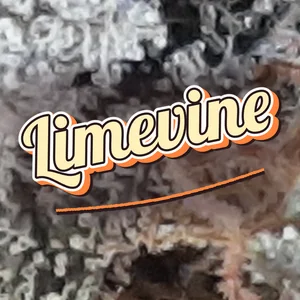 Limevine Cannabis Strain