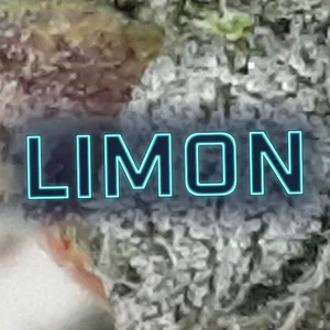 Limon Cannabis Strain