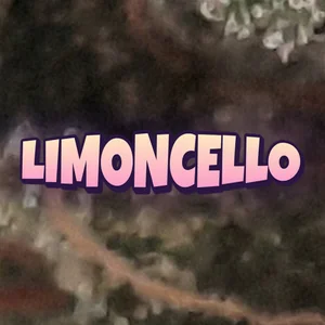 Limoncello Cannabis Strain