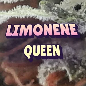 Limonene Queen Cannabis Strain