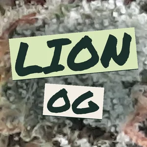 Lion OG Cannabis Strain
