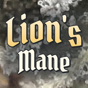 Lion's Mane Cannabis Strain