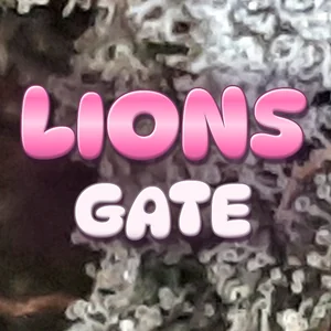 Lions Gate Cannabis Strain