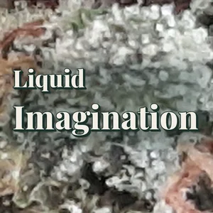 Liquid Imagination Cannabis Strain