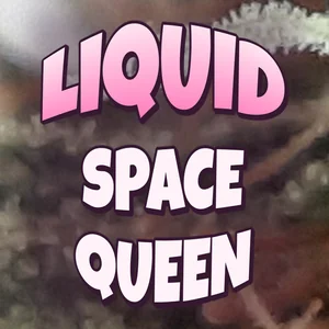 Liquid Space Queen Cannabis Strain