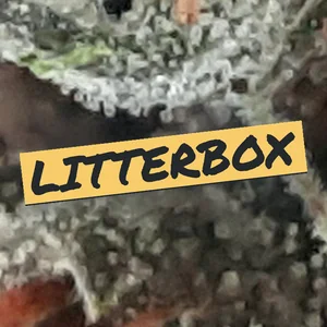 Litterbox Cannabis Strain