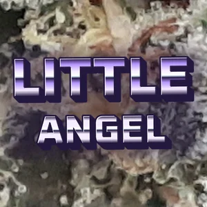Little Angel Cannabis Strain