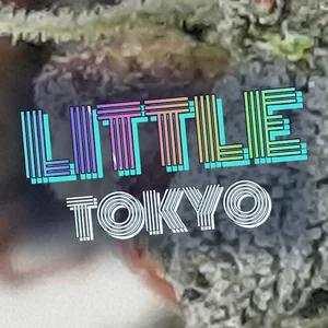 Little Tokyo Cannabis Strain