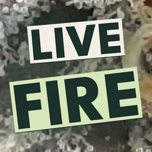 Live Fire Cannabis Strain