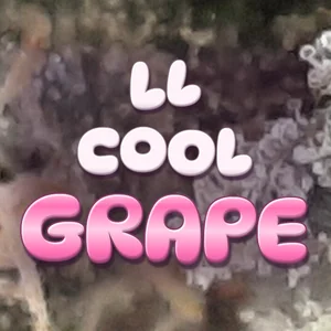 LL Cool Grape Cannabis Strain