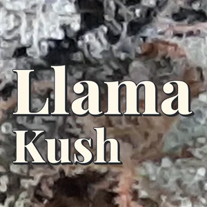 Llama Kush Cannabis Strain