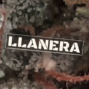 Llanera Cannabis Strain