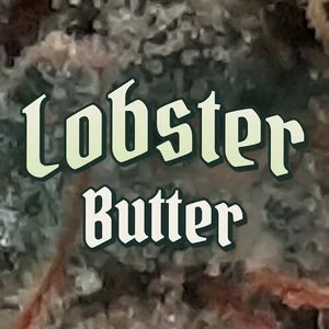 Lobster Butter Cannabis Strain
