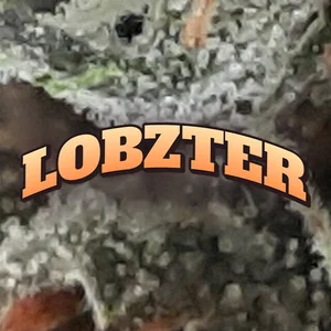 Lobzter Cannabis Strain