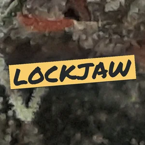 Lockjaw Cannabis Strain