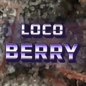 Loco Berry Cannabis Strain