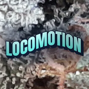 Locomotion Cannabis Strain