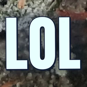 LOL Cannabis Strain