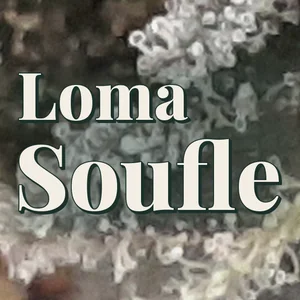 Loma Soufle Cannabis Strain