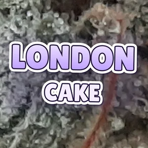 London Cake Cannabis Strain