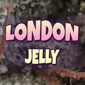 London Jelly Cannabis Strain
