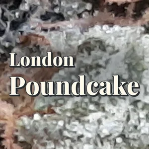 London Poundcake Cannabis Strain
