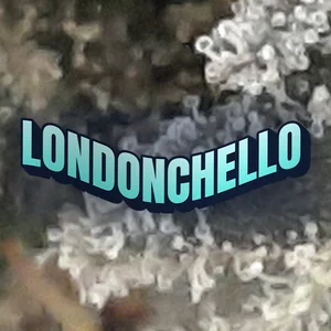 Londonchello Cannabis Strain