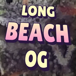 Long Beach OG Cannabis Strain