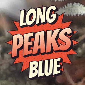 Long Peaks Blue Cannabis Strain