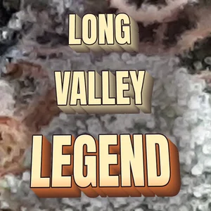 Long Valley Legend Cannabis Strain