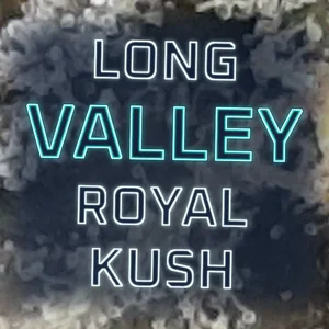 Long Valley Royal Kush Cannabis Strain