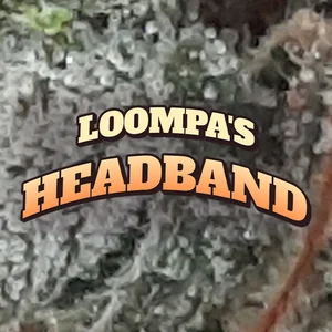 Loompa's Headband Cannabis Strain