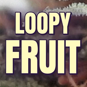 Loopy Fruit Cannabis Strain