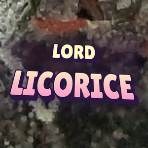 Lord Licorice Cannabis Strain