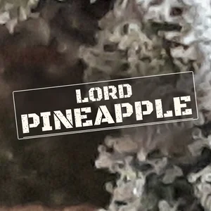 Lord Pineapple Cannabis Strain