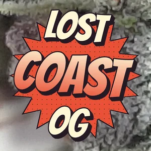 Lost Coast OG Cannabis Strain