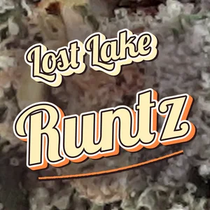 Lost Lake Runtz Cannabis Strain