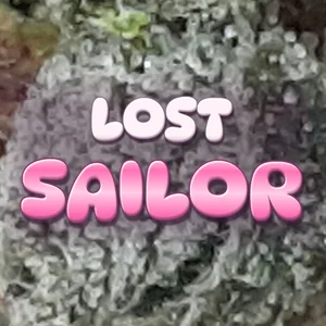 Lost Sailor Cannabis Strain