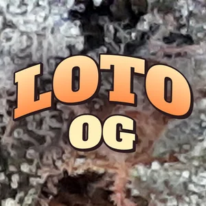 LOTO OG Cannabis Strain