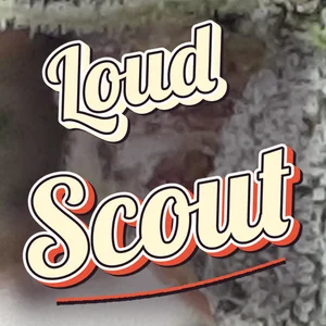 Loud Scout Cannabis Strain