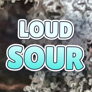 Loud Sour Cannabis Strain