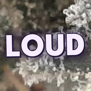 Loud Cannabis Strain