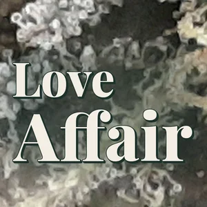 Love Affair Cannabis Strain