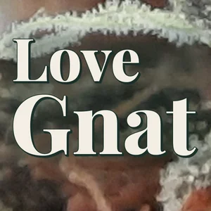 Love Gnat Cannabis Strain