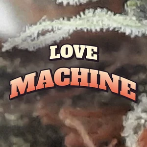 Love Machine Cannabis Strain
